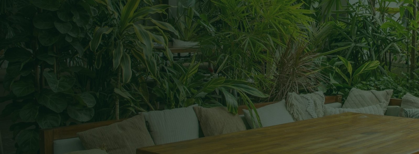Air Purifier Combo